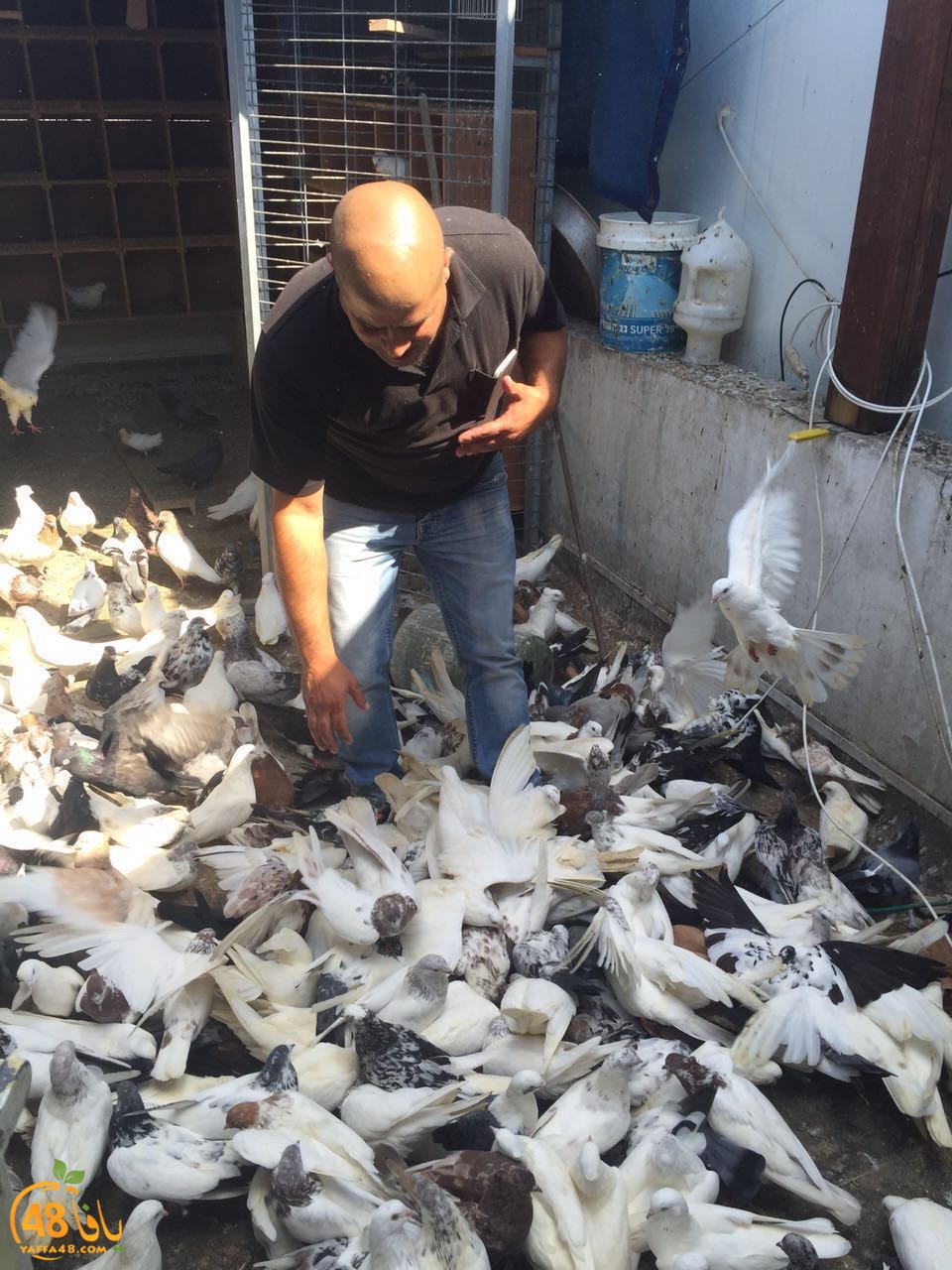 zohdy 3ashor (15).jpg